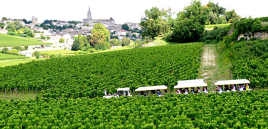 ST EMILION